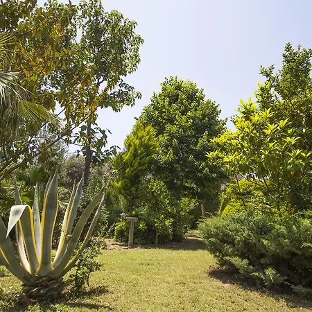 Tatil parkı Kizilbuk Ahsap Evleri Datça