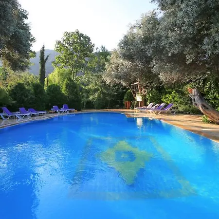 Tatil parkı Kizilbuk Ahsap Evleri