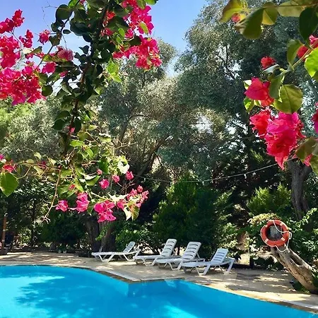 Kizilbuk Ahsap Evleri Tatil parkı Datça