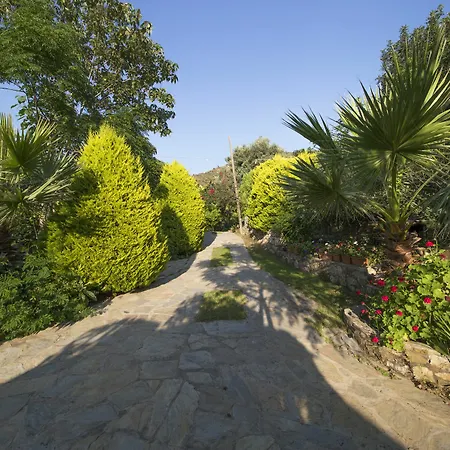 Tatil parkı Kizilbuk Ahsap Evleri