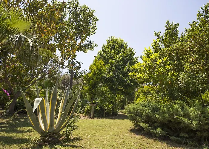 Parc de vacanță Kizilbuk Ahsap Evleri Datca