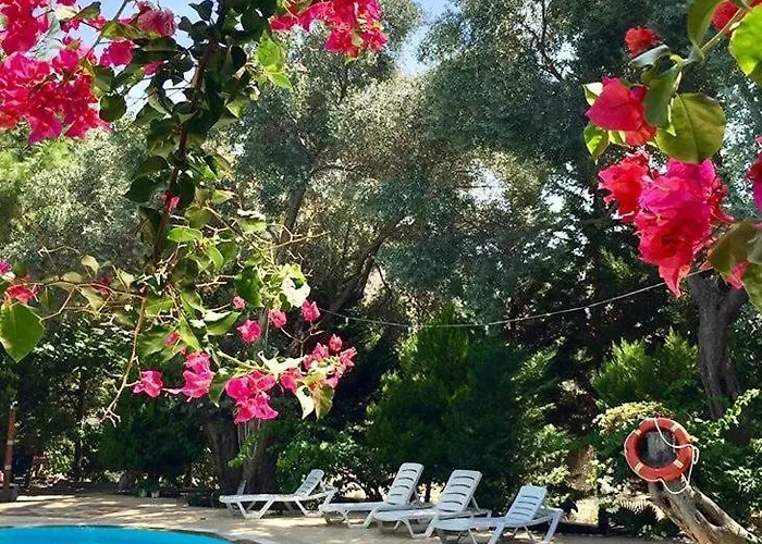 Kizilbuk Ahsap Evleri Parc de vacanță Datca