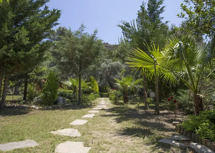 Kizilbuk Ahsap Evleri 3*