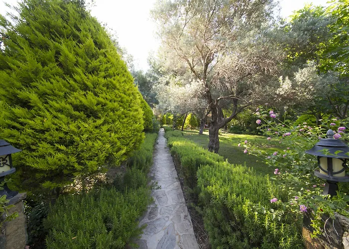 Kizilbuk Ahsap Evleri Parc de vacanță