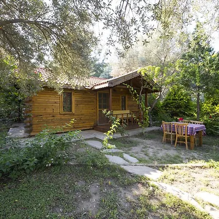 Parque de vacaciones Kizilbuk Ahsap Evleri 3*