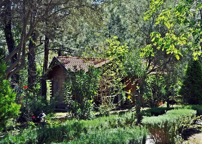 Tatil parkı Kizilbuk Ahsap Evleri