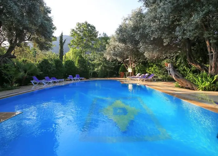 Tatil parkı Kizilbuk Ahsap Evleri