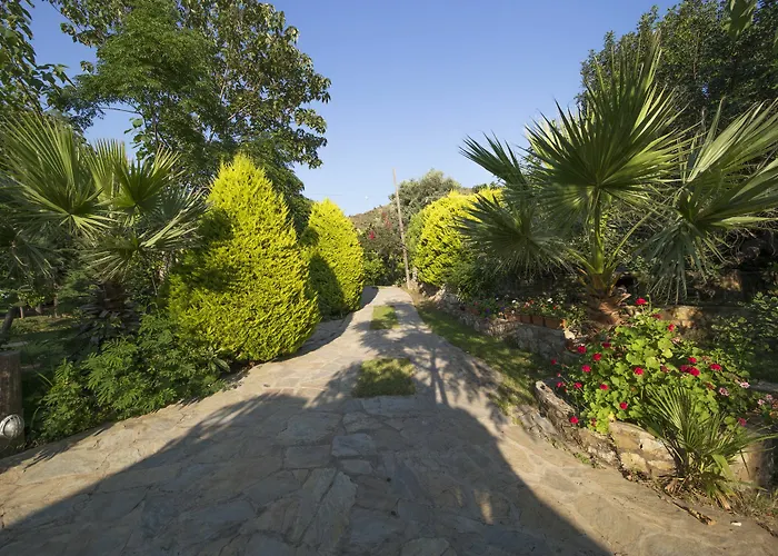 Tatil parkı Kizilbuk Ahsap Evleri